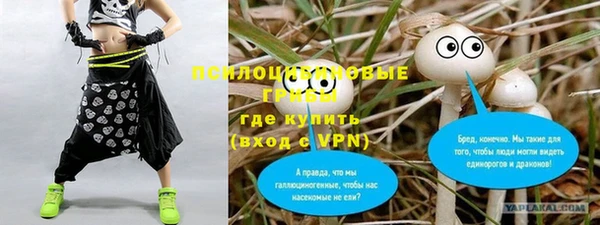 не бодяженный Алзамай