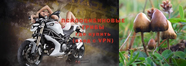 первитин Алексеевка
