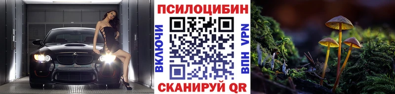 ОМГ ОМГ ТОР  Клин  Галлюциногенные грибы Cubensis 
